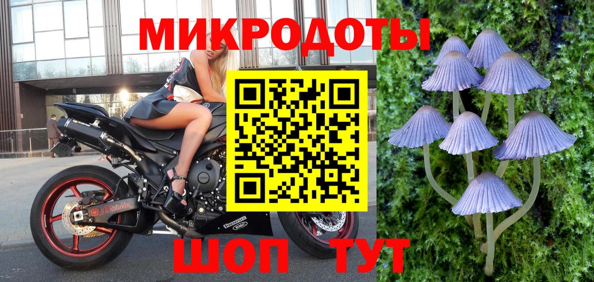 Галлюциногенные грибы мицелий Кузнецк
