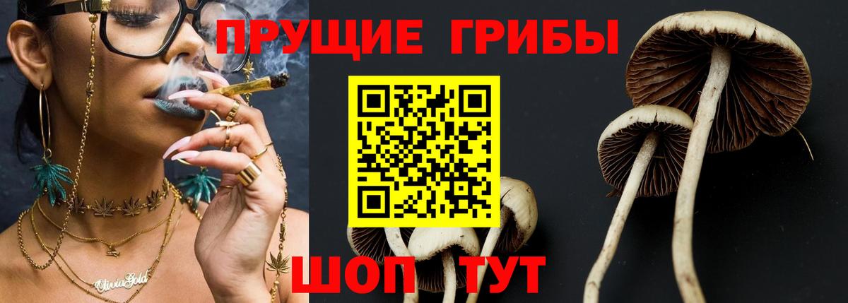 Галлюциногенные грибы MAGIC MUSHROOMS  купить закладку  Вход с VPN  Кузнецк  Галлюциногенные грибы мухоморы 